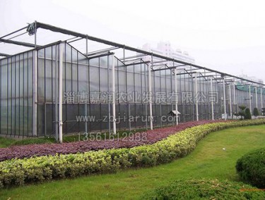 連棟溫室工程